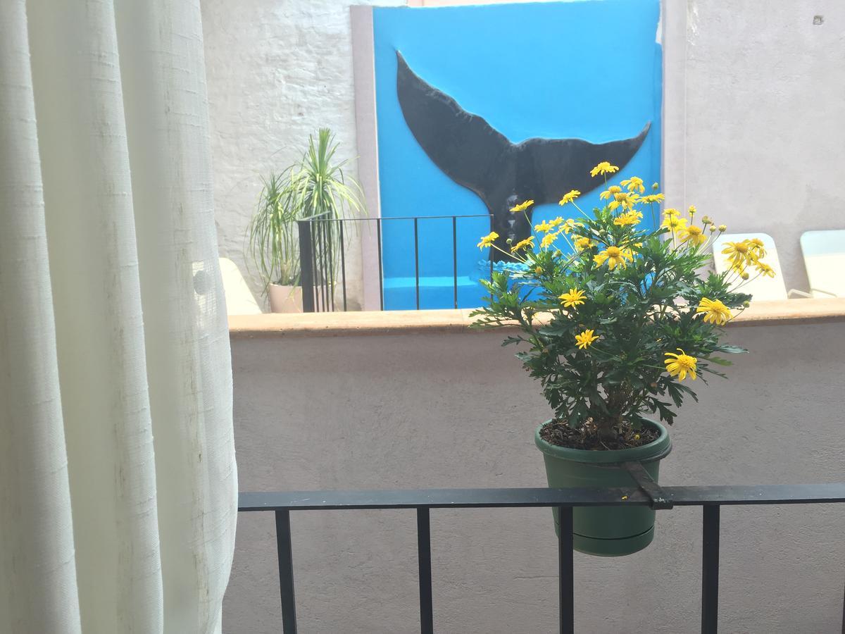 Suites Colibri San Miguel de Allende Esterno foto